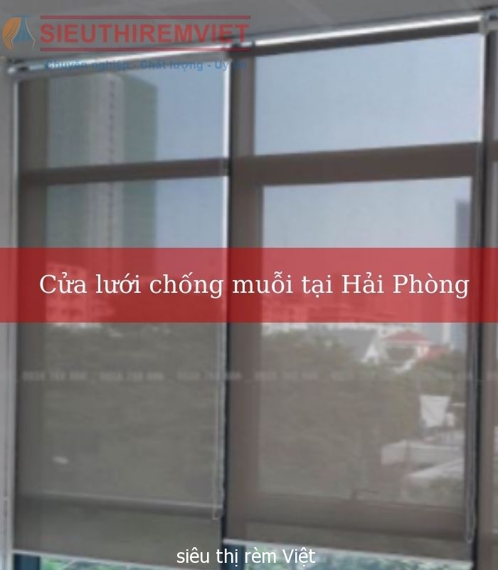 cua-luoi-chong-muoi-tai-hai-phong_1